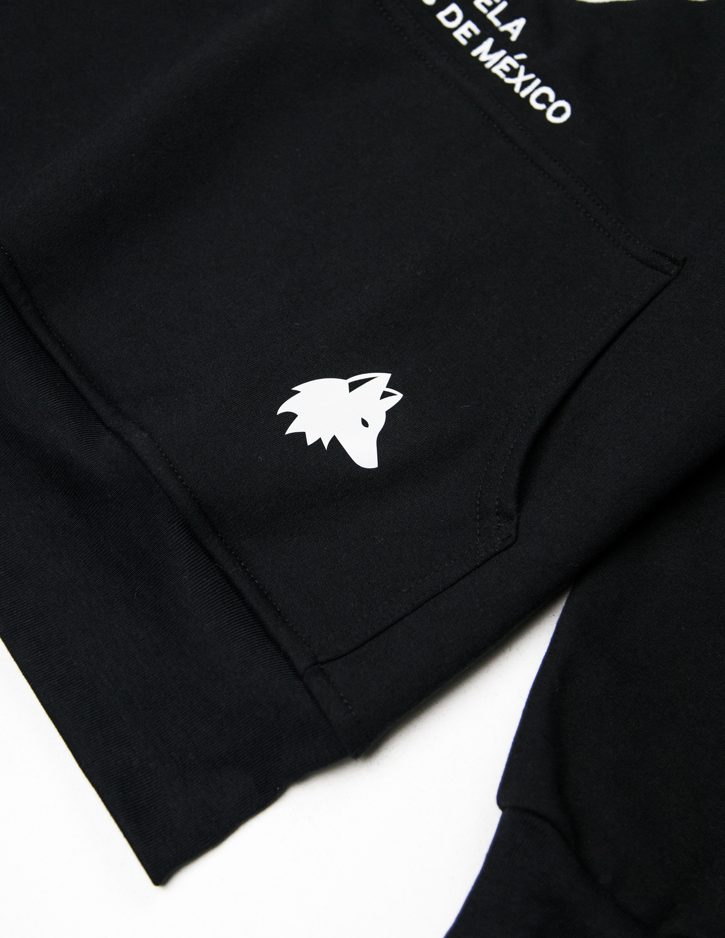 Sudadera Hoodie Essentials NEGRO - VINTAGE